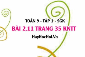 Bài 2.11 trang 35 Toán 9 tập 1 Kết nối tri thức